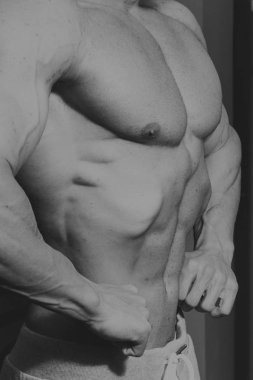 Spor serin vücut geliştirmeci