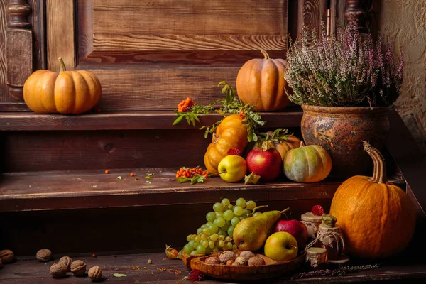 Bodegón de otoño con calabazas — Foto de Stock