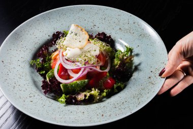 Peynir philadelphia ile sebze salatası