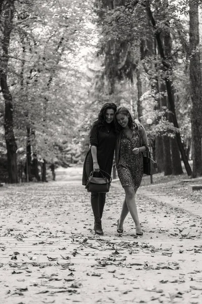 Passeggiata amiche nel parco autunnale — Foto Stock