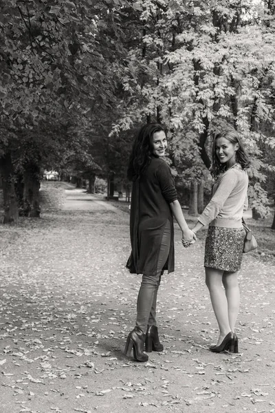 Walk girlfriends in autumn park — Stock Photo, Image