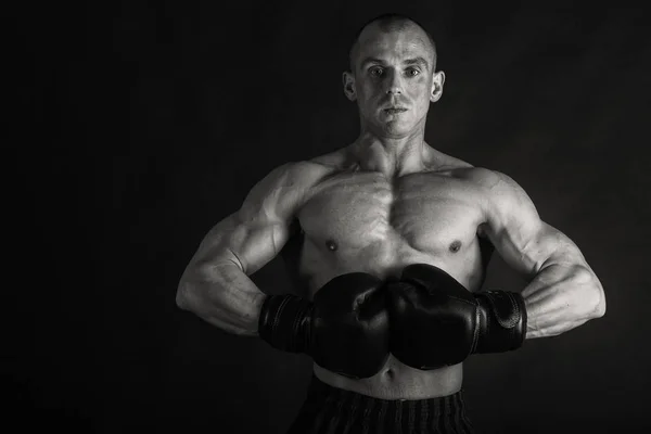 Un hombre entrenado. Culturismo —  Fotos de Stock