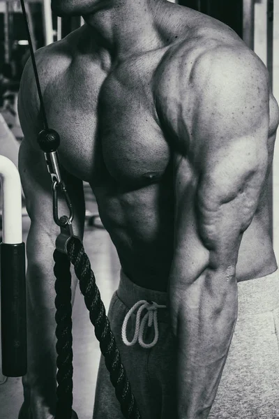 Bodybuilder in the gym — Stock Photo, Image