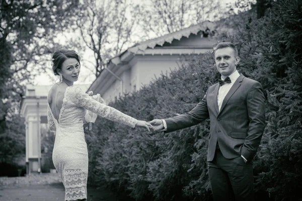 Весілля, прогулянка, наречений і наречена — стокове фото