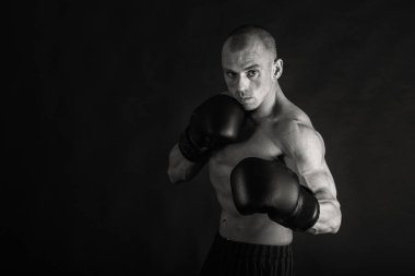 Siyah üzerine poz acemi vücut geliştirmeci