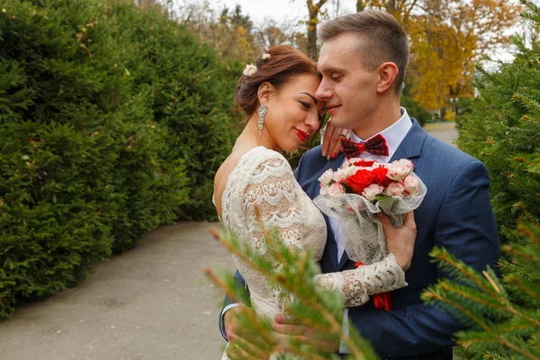 Casamento, caminhada, noivo e noiva — Fotografia de Stock