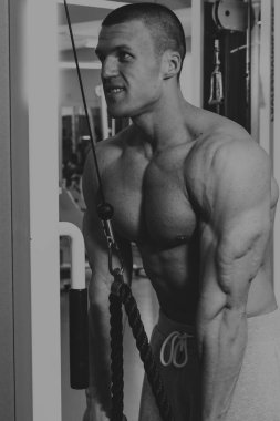 Adam ağırlık vasıl belgili tanımlık jimnastik salonu ile nişanlandı