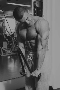 Adam ağırlık vasıl belgili tanımlık jimnastik salonu ile nişanlandı