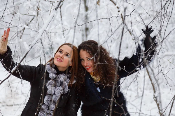 Two woman in winter forest — Stock Photo, Image