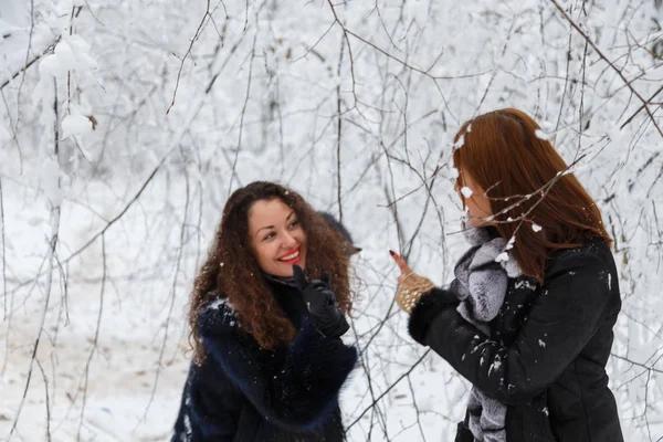 Two woman in winter forest — Stock Photo, Image