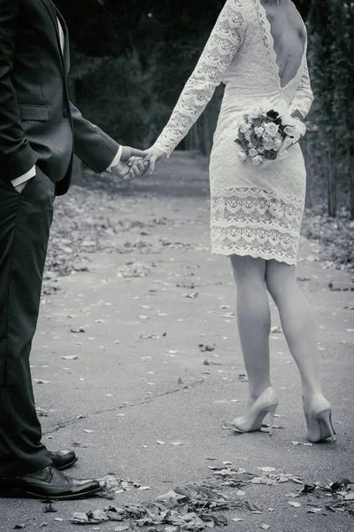 Matrimonio. sposa e sposo — Foto Stock