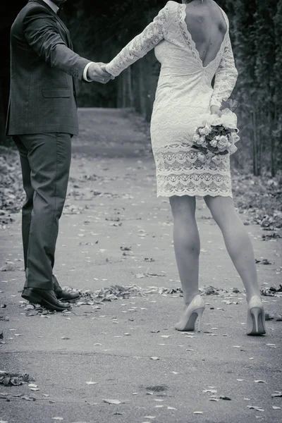 Γάμος. νύφη και γαμπρός — Φωτογραφία Αρχείου