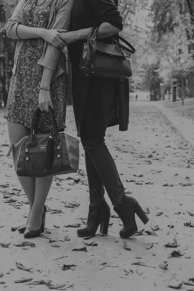 Girlfriends in autumn park — Stock Photo, Image