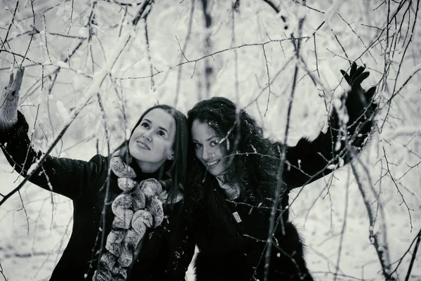 两个女人在冬季森林 — 图库照片