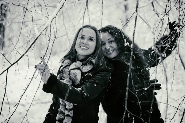Two woman in winter forest — Stock Photo, Image