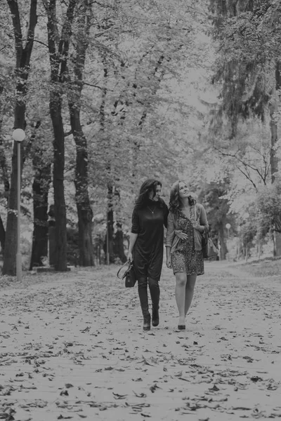 Dziewczyny spaceru w parku jesień — Zdjęcie stockowe