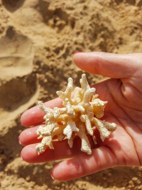 Mercan bir kız elinde