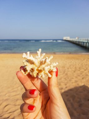 Mercan bir kız elinde