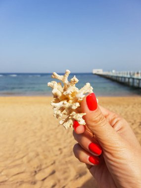 Mercan bir kız elinde