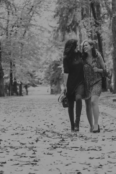 Caminhe namoradas no parque de outono — Fotografia de Stock