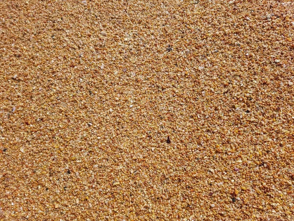 バック グラウンドの砂やサンゴ — ストック写真