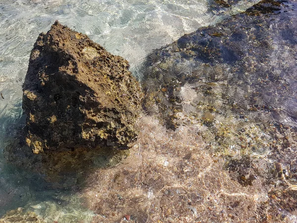 Моллюски на камнях. Красота природы . — стоковое фото
