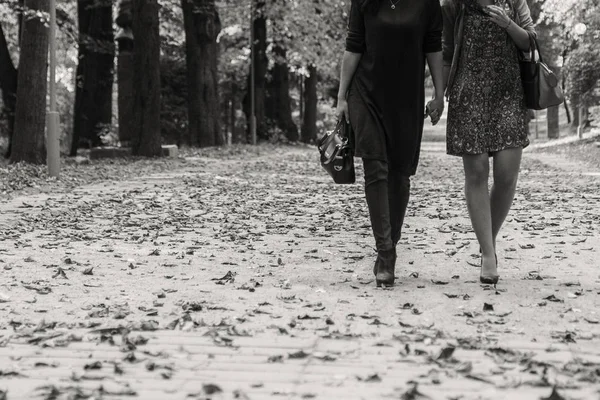 Freundinnen im Herbstpark — Stockfoto