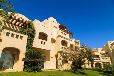 Bahçe ve peyzaj tasarımı. Güzel çiçekler ve çalılar.