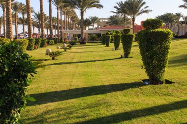 Büyük Bahçe ve peyzaj tasarım