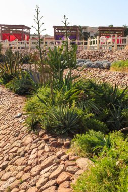 Büyük Bahçe ve peyzaj tasarım