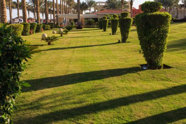 Büyük Bahçe ve peyzaj tasarım