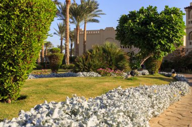 Büyük Bahçe ve peyzaj tasarım