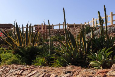 Büyük Bahçe ve peyzaj tasarım