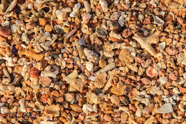 Morski piasek i korale — Zdjęcie stockowe