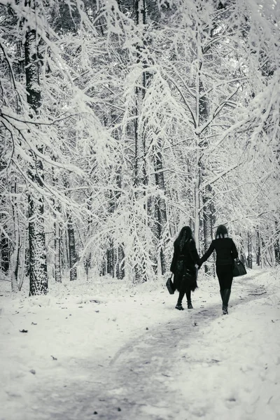 冬の背景、雪の木 — ストック写真