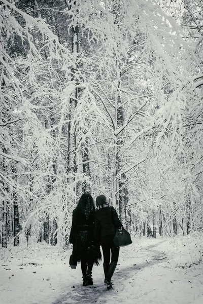 Winter background, trees in the snow — Stock Photo, Image