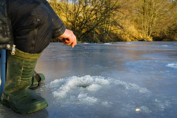 IJsvissen. Winter vissen — Stockfoto