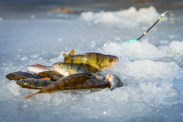 Ice fishing. Winter fishing