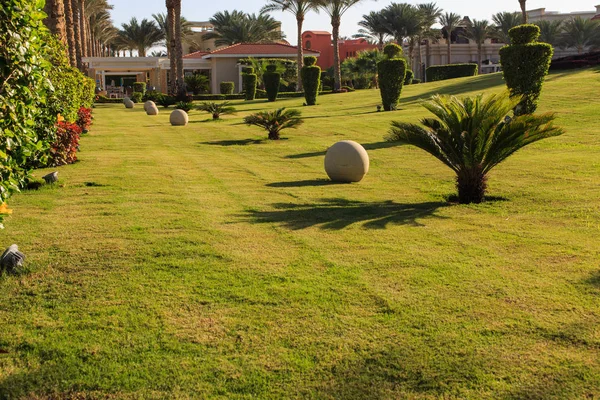 Büyük Bahçe ve peyzaj tasarım