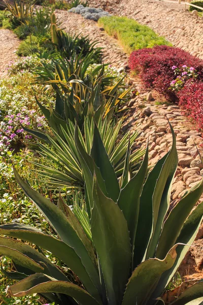 Gran jardín y diseño de paisaje —  Fotos de Stock