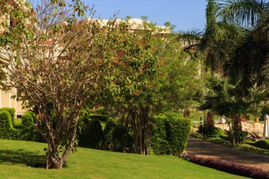  Güzel yaz aylarında peyzaj.