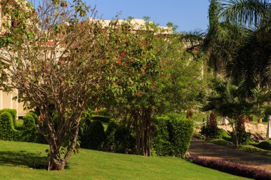  Güzel yaz aylarında peyzaj.