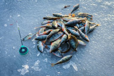 Balık tutma kış. Buz balıkçılık