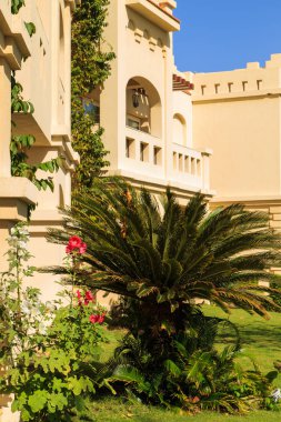 Güzel yaz aylarında peyzaj.