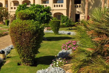 Peyzaj park tasarım yaz.