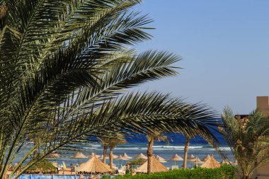 Peyzaj park tasarım yaz.