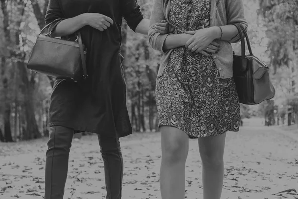 Girlfriends in autumn park — Stock Photo, Image