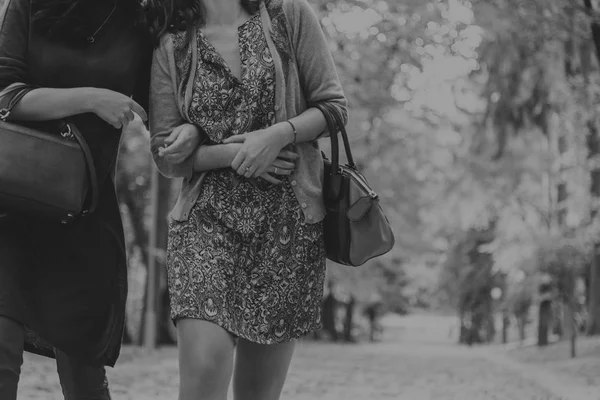 Girlfriends in autumn park — Stock Photo, Image