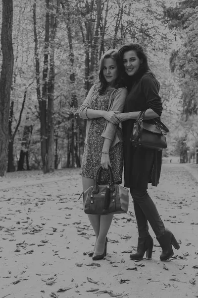 Copines dans le parc d'automne — Photo