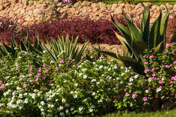 Hermoso paisaje. Belleza de la naturaleza . — Foto de Stock